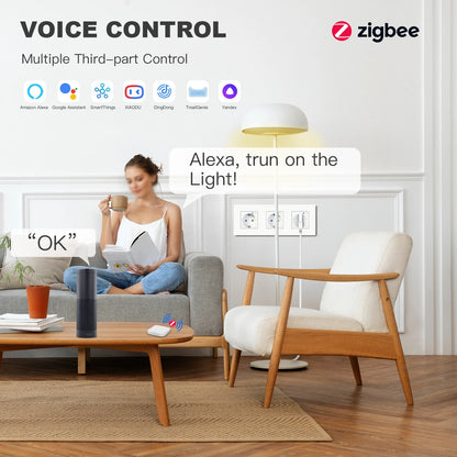 BSEED Single ZigBee Wandstopcontacten | Energie Monitor | Dubbele Slimme Meter Sockets | Google Smart Life App | Alexa | Drievoudige Stopcontacten | EU Kunststof